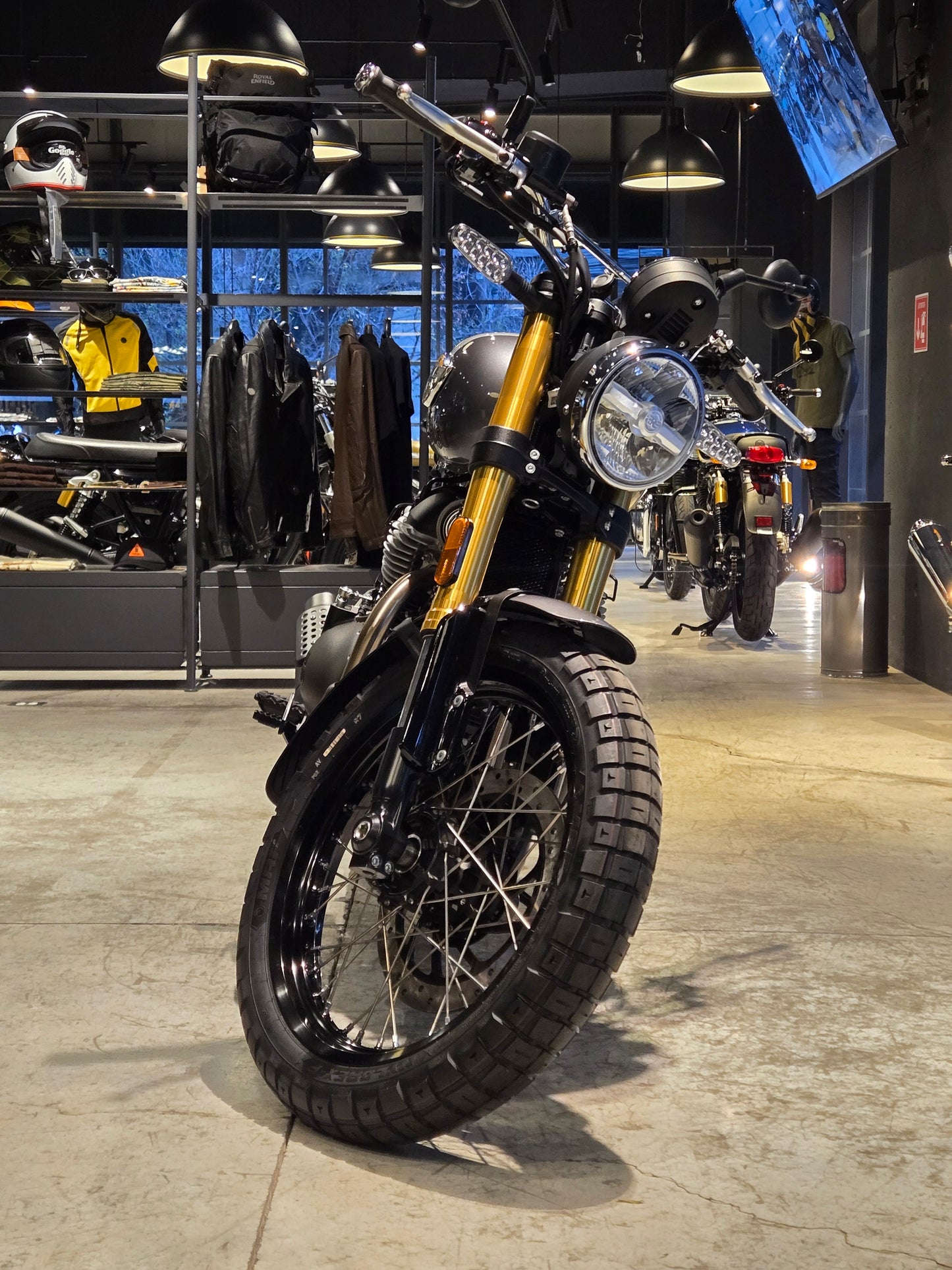 Royal Enfield Int Bear 650 Golden Shadow