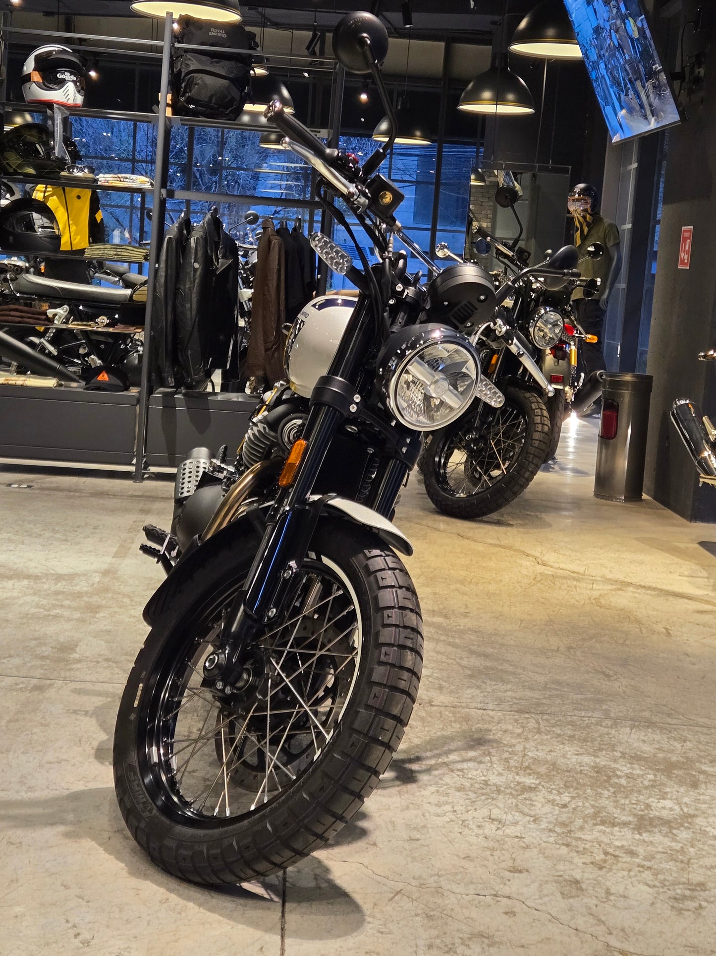 Royal Enfield Int Bear 650 Golden Shadow