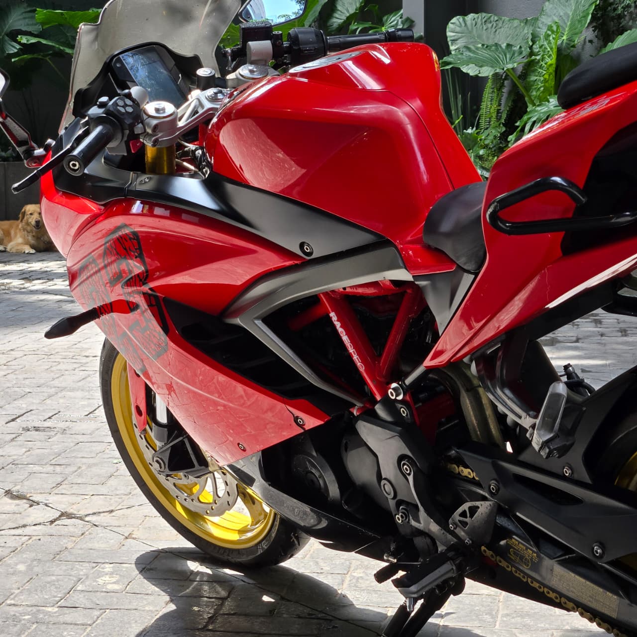 TVS RR310 2024